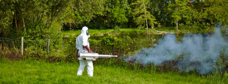 Elimination d'un foyer de moustiques à Cournon d'Auvergne